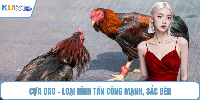 Cựa dao - Loại hình tấn công mạnh, sắc bén