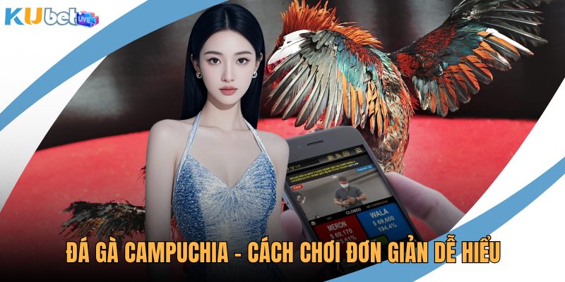 Đá gà Campuchia