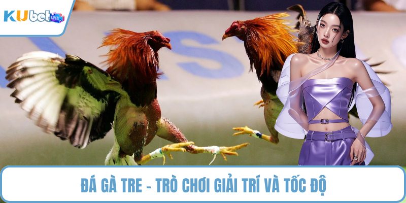 Đá gà tre - Trò chơi giải trí và tốc độ