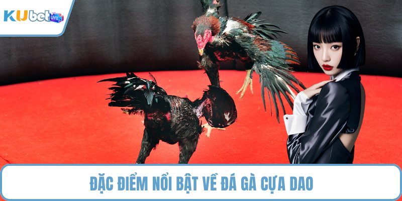 Đặc điểm nổi bật về đá gà cựa dao