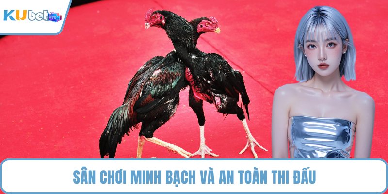 Sân chơi minh bạch và an toàn thi đấu