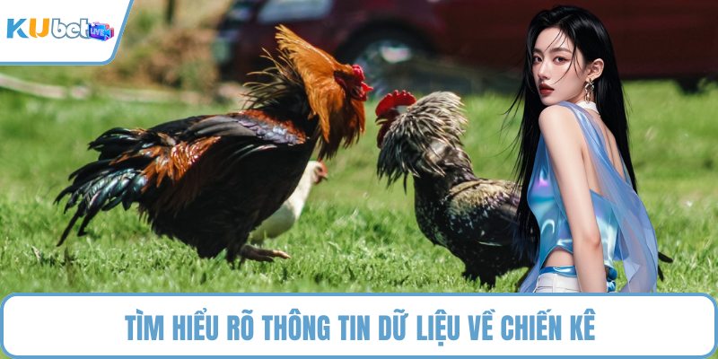 Tìm hiểu rõ thông tin dữ liệu về chiến kê