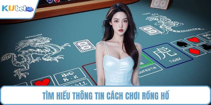 Tìm hiểu thông tin cách chơi rồng hổ